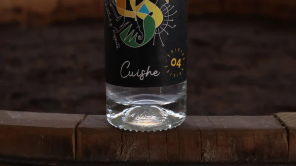 CUISHE | 4 EDICIÓN - Image 4